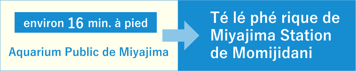 from Miyajima Public Aquarium to Miyajima Ropeway Momijidani Station